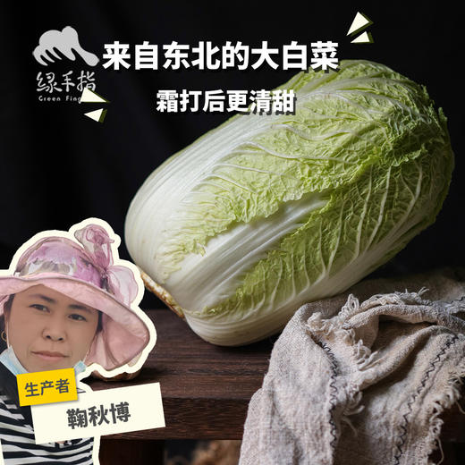 生态大白菜（吉林，申通或中通） | 合作生产 *   Ecological Cabbage | Partner Production 商品图0