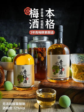 无添加本格青梅酒日式东方梅子酒12度低度微醺女生晚安甜果酒露酒