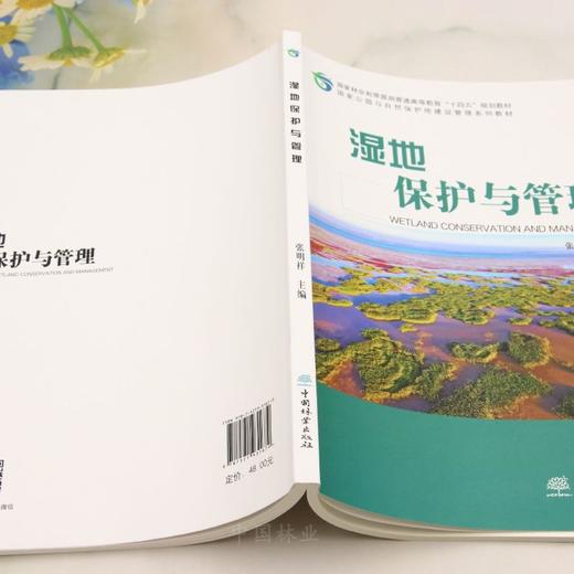 E湿地保护与管理 &3167 商品图6