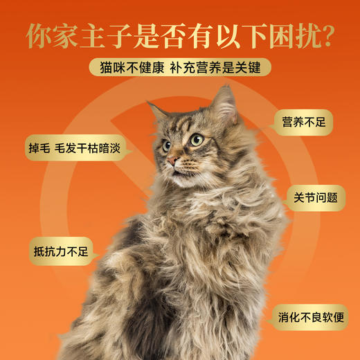 【海陆空猫条】宽福 鲜嫩食材多重营养 细腻口感消化更丝滑 三种选择 双重滋补助益免疫 三重益生元助护肠胃 助美养肤骨骼营养 商品图1