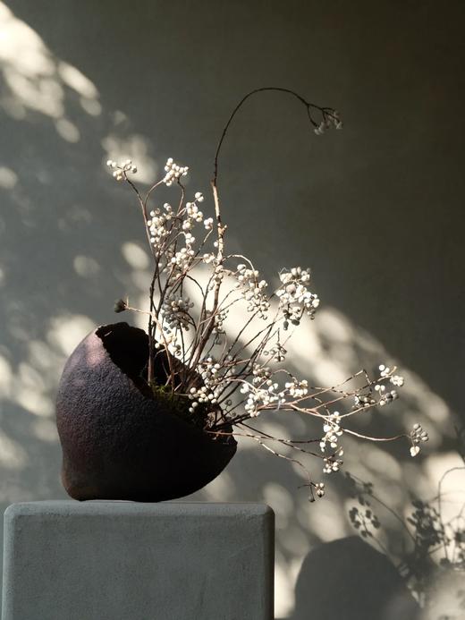 精品花材乌桕果1扎 商品图1