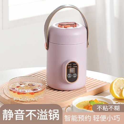 积分兑换【智能家用迷你电炖锅】办公室多功能炖汤杯 预约电煮杯宝宝煮粥便携式#异业福利 商品图0