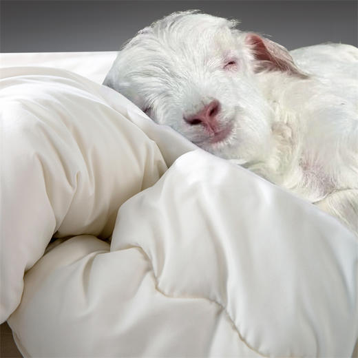 【欧特家·OETKER澳洲进口澳洲美利奴羊毛被】热卖中！！下单72小时内发货！【英国百年品牌】七星级酒店  百分百纯羊毛 商品图0