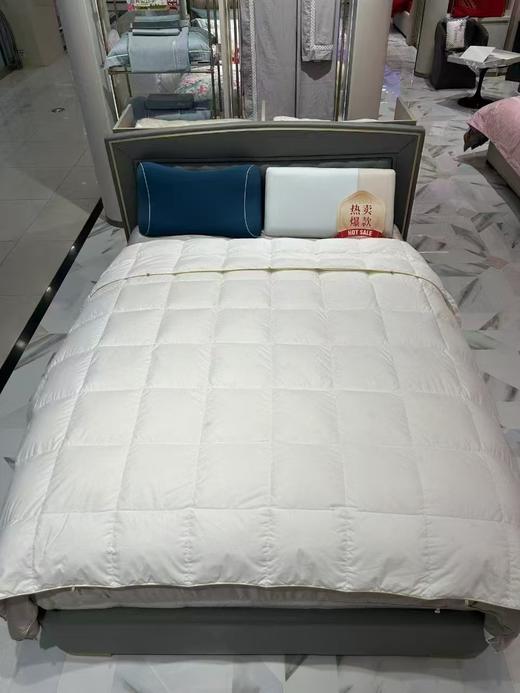 8F富安娜超柔蓄暖95鹅绒四季被 商品图0