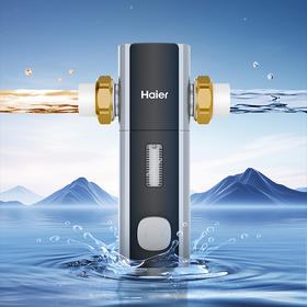 海尔（Haier）前置过滤器 HQZ50-XFAS66