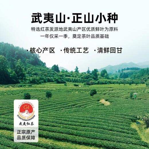 华祥苑 华祥庄园 正山小种 红茶 特级 茶叶 礼盒 256g 商品图3