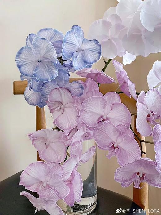 精品花材吸色蝴蝶兰1支 商品图2