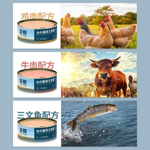 鲜朗全价猫咪主食罐头 100g/罐  高蛋白低脂高营养 0诱食0谷物 肉源透明公开  保证正品 防伪可查 商品图4