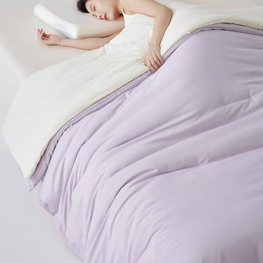 【品牌直发】加倍生活 深睡双层控温被PRO 纸箱发货 被子被芯 Naia™纤维填充子母被 双层控温吸湿透气四季被冬被 可机洗 商品图3