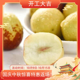 【大荔冬枣】京东到家 偏远普快 脆甜爽口 皮薄肉厚 肉厚核小 果肉饱满 甘甜清香 表皮光亮诱人 冷藏口感更佳 2种规格任选