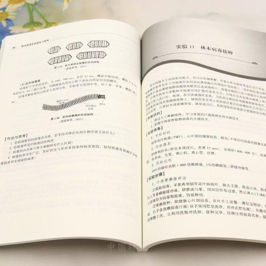E林木病理学实验实习指导 &3286 商品图7