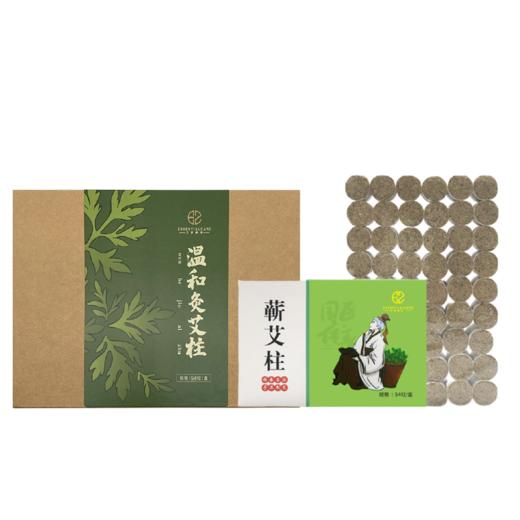 特别活动【艾斯缇诗】温和灸艾柱54粒/盒 商品图0