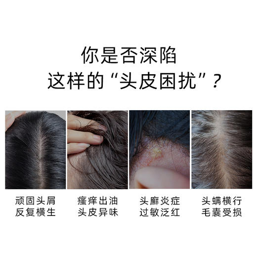 雅琪朵头皮调理洗发露100ml 商品图3