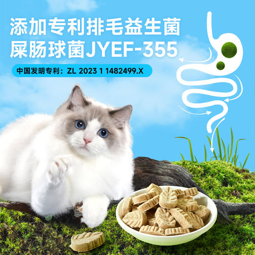 【云杉排毛冻干】 宽福 毛球克星 欧洲进口云杉专利菌 双重功效 助力排毛呵护肠胃健康 81%高含肉量独立锁鲜装方便喂食 商品图4