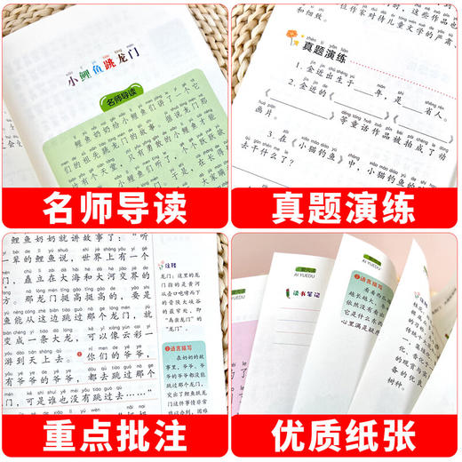 小鲤鱼跳龙门注音版 商品图1