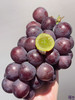 推荐这款好吃的藤语葡萄，连挑剔的女儿都说“这个葡萄太好吃了！甜炸🍇无敌暴力甜，个头大，掉粒少，就是典型的巨峰葡萄口感，皮和肉很容易分离，味道很浓‼️ 商品缩略图1