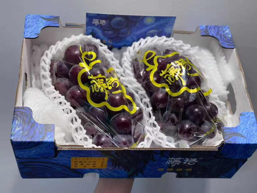 推荐这款好吃的藤语葡萄，连挑剔的女儿都说“这个葡萄太好吃了！甜炸🍇无敌暴力甜，个头大，掉粒少，就是典型的巨峰葡萄口感，皮和肉很容易分离，味道很浓‼️