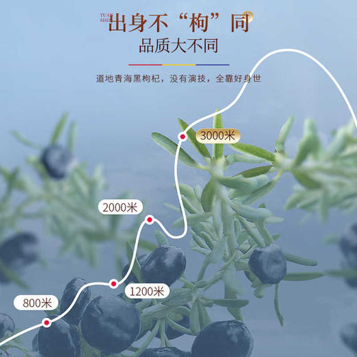 福东海 早红晚黑枸杞原浆300ml（30ml*10袋）/盒 商品图3