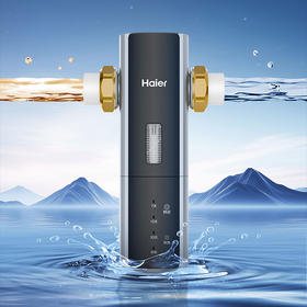 海尔（Haier）前置过滤器 HQZ50-XFAZ88