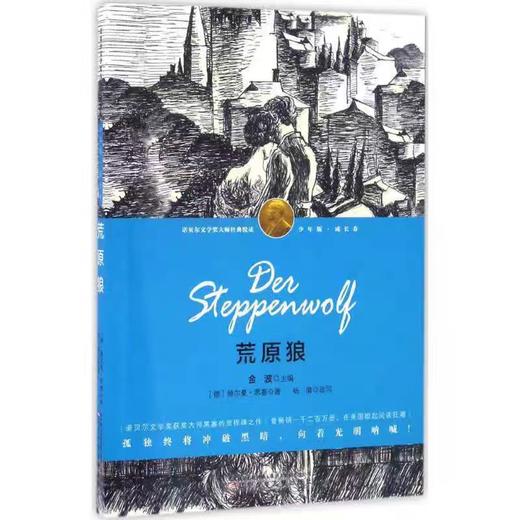 【独家旧书3折】荒原狼  二手书籍（新疆 西藏 甘肃 青海 海南不包邮）bj 商品图0
