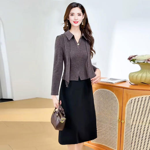 QYM 53B2518-Y衬衫领连衣裙假两件包臀裙时尚气质拼色连衣裙 商品图2