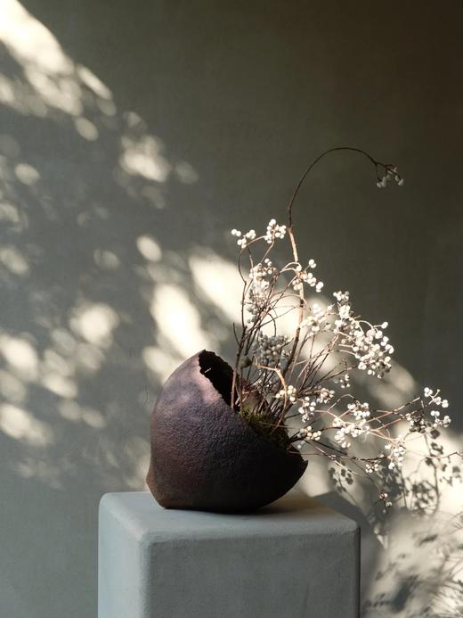 精品花材乌桕果1扎 商品图0