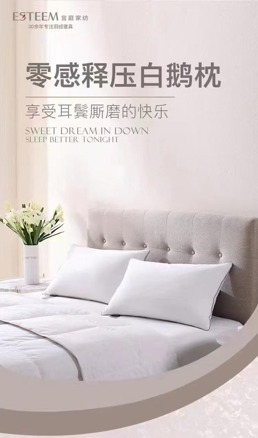 8F 宜庭零感释压白鹅枕4672 商品图0