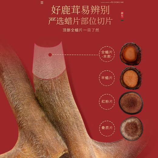 福东海  鹿茸片 鹿茸全蜡片 6克/瓶 商品图2