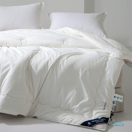 【欧特家·OETKER澳洲进口澳洲美利奴羊毛被】热卖中！！下单72小时内发货！【英国百年品牌】七星级酒店  百分百纯羊毛 商品图9