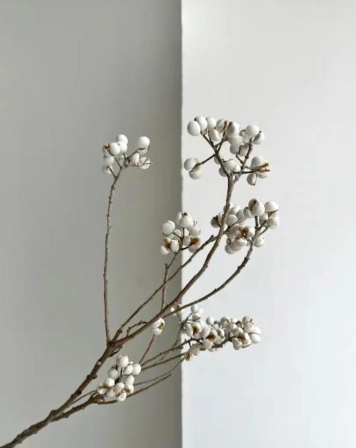 精品花材乌桕果1扎 商品图3