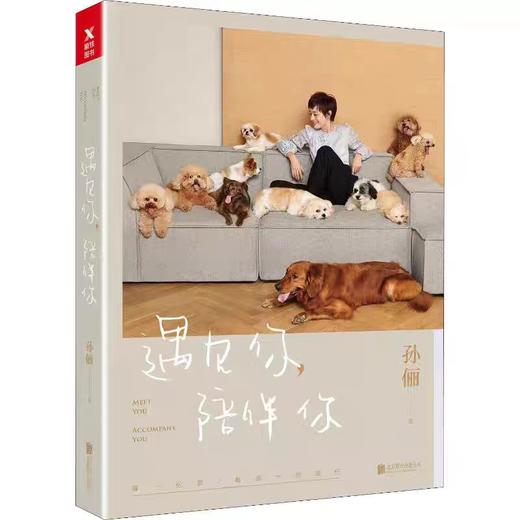 【独家旧书3折】 遇见你 陪伴你 二手书籍（新疆 西藏 甘肃 青海 海南到付）bj 商品图0