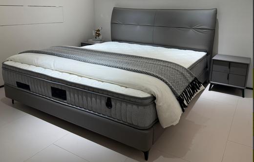 大信床 DXPC2515 商品图0