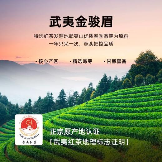 华祥苑 华祥庄园 金骏眉 茶叶 礼盒 256g 商品图1