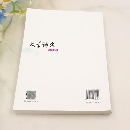 E大学语文（第3版） &3031 商品图4