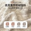 【高克重牛奶绒四件套】立体提花雕花珊瑚绒床单床笠 保暖双面加绒被套  商品缩略图3