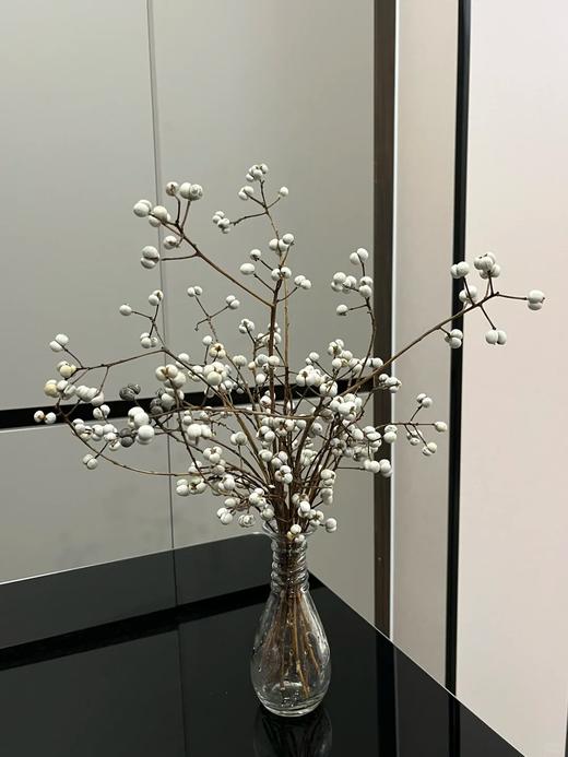 精品花材乌桕果1扎 商品图2