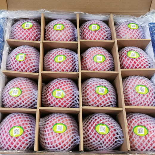 【脆甜鲜香】 16枚90mm红富士特大果手提款新鲜果礼尚佳享顶端果业陕西洛川红富士苹果 自己吃送人都合适 商品图1