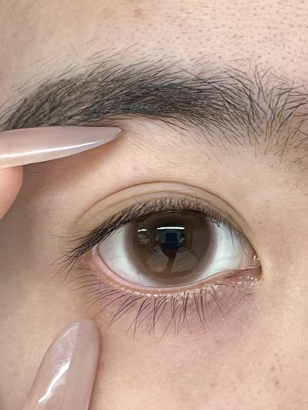 liliyacon半年抛美瞳 碳烤红薯 14.5mm