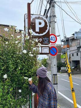 闪照第483期 户外