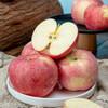 【甘肃静宁苹果】黄土高原上的黄金果，中国国家地理标志产物，黄土高原上的“红宝石”，咬一口，甜到心坎里！ 商品缩略图0