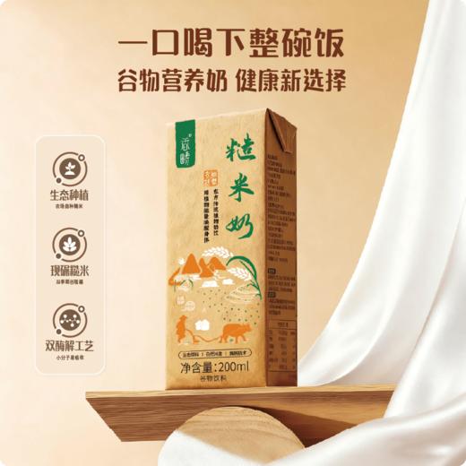 香畴生态糙米奶 | 200ml*6盒/箱 自然农法种植糙米 入口丝滑 自然清甜 营养早餐植物奶 谦益农业 商品图2