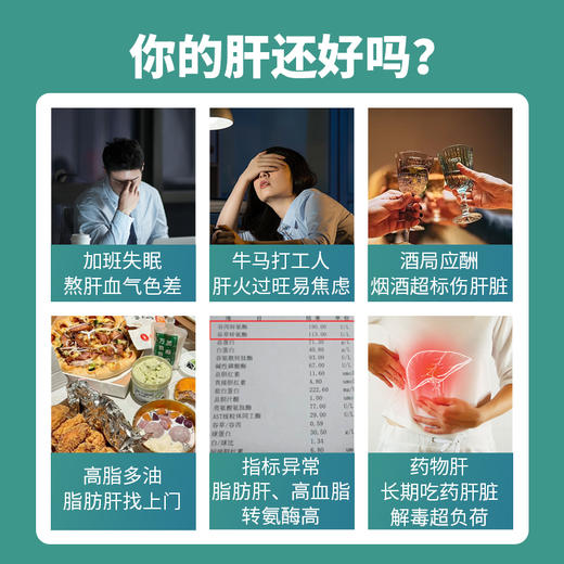 甘乐片  保肝护肝+降血脂 商品图9