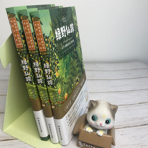 【名家名译世界名著】小学初中青少版名著：绿野仙踪 商品图6