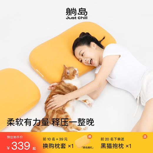 【1】躺岛猫肚皮枕3.0记忆棉枕 商品图0