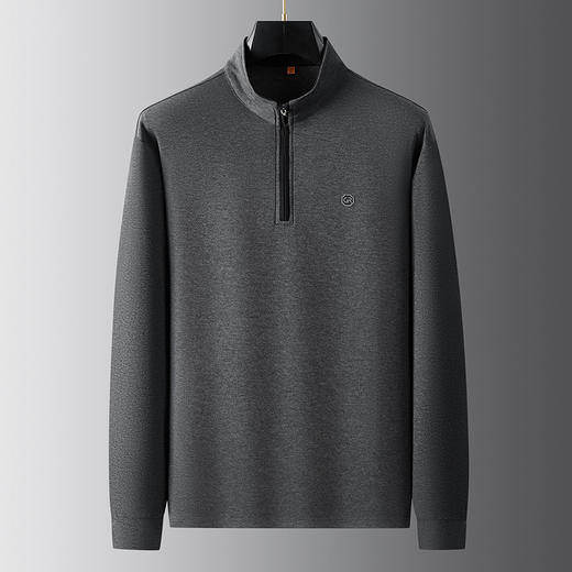 【棉质】【DWP】大依优型大码男装立领半拉链长袖卫衣秋季时尚休闲商务百搭含棉加肥加大 商品图2