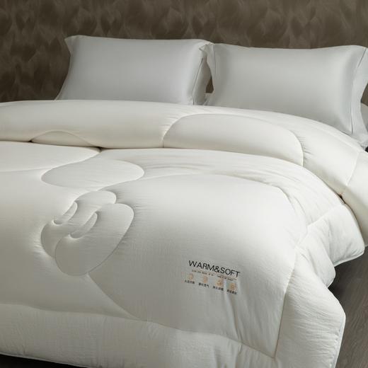 10楼堂皇     绵芙大豆纤维春秋被-白色200x230cm胎重1100g   吊牌价550元      活动价99元 商品图2