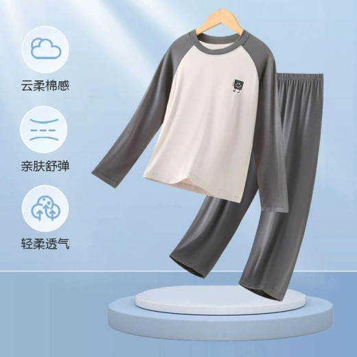 莫代尔儿童睡衣男童家居服套装宝宝空调服青少年秋衣秋裤女童内衣 商品图2