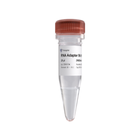 VAHTS RNA Adapters set3 - set6 for Illumina