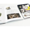 又萌又猛的猫头鹰图鉴 商品缩略图5