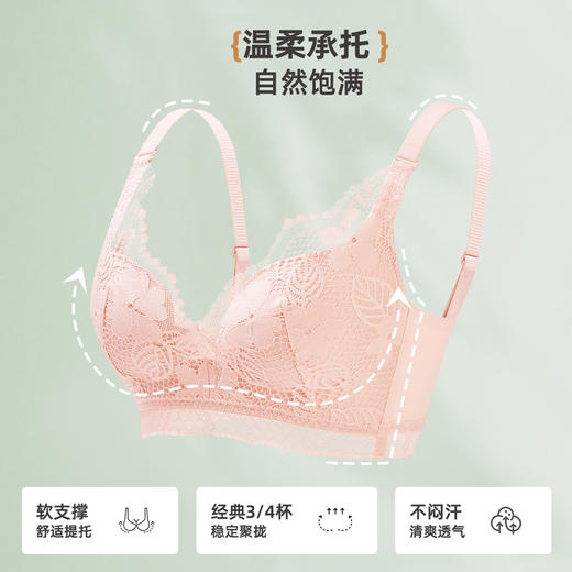 ALDOLA/雅黛俪蕾丝内衣女聚拢小胸显大调整型文胸性感胸罩2025新 商品图4